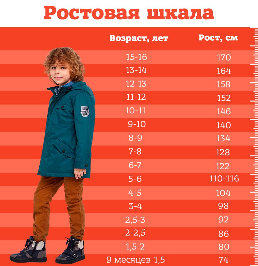 Ростовая шкала.png